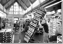 Hochbetrieb in der Münchner Großmarkthalle