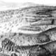 Die Schlacht am Weißen Berg bei Prag (1620) gilt als eigentlicher Beginn des dreißigjährigen Ringens zwischen den europäischen Mächten. Zu den Siegern gehörte der bayerische Herzog Maximilian I. (1598-1651). Kaiser Ferdinand II. hatte ihm Gebietsgewinne und die Kurwürde zugesichert.