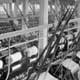Mechanische Webstühle leiteten in der ersten Hälfte des 19. Jahrhunderts die Industrialisierung ein. Die Mechanische Baumwollspinnerei und -weberei Augsburg nahm 1840 die Produktion auf.