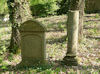 Jüdischer Friedhof Binswangen (Foto: Arbeitskreis N�rdlinger Ries / Zentrum für allgemeine wissenschaftliche Weiterbildung der Universität Ulm)