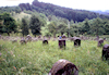 Jüdischer Friedhof Ermreuth. Foto: Christoph Daxelm�ller, 1990