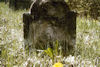 Jüdischer Friedhof Burgpreppach. � Heidi Flachsenberger, Burgpreppach