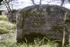Jüdischer Friedhof Burgpreppach. � Heidi Flachsenberger, Burgpreppach