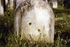 Jüdischer Friedhof Burgpreppach. � Heidi Flachsenberger, Burgpreppach