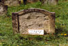 Jüdischer Friedhof Kleinsteinach. � Herbert Dietz / R�diger Reining, Aidhausen