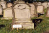 Jüdischer Friedhof Kleinsteinach. � Herbert Dietz / R�diger Reining, Aidhausen