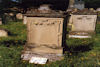 Jüdischer Friedhof Kleinsteinach. � Herbert Dietz / R�diger Reining, Aidhausen