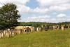 Jüdischer Friedhof Kleinsteinach. � Herbert Dietz / R�diger Reining, Aidhausen