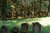 Jüdischer Friedhof Kleinsteinach. � Herbert Dietz / R�diger Reining, Aidhausen