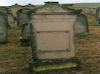 Jüdischer Friedhof Oberlauringen. � R. Scheuring (+) / E. Konrad (+)