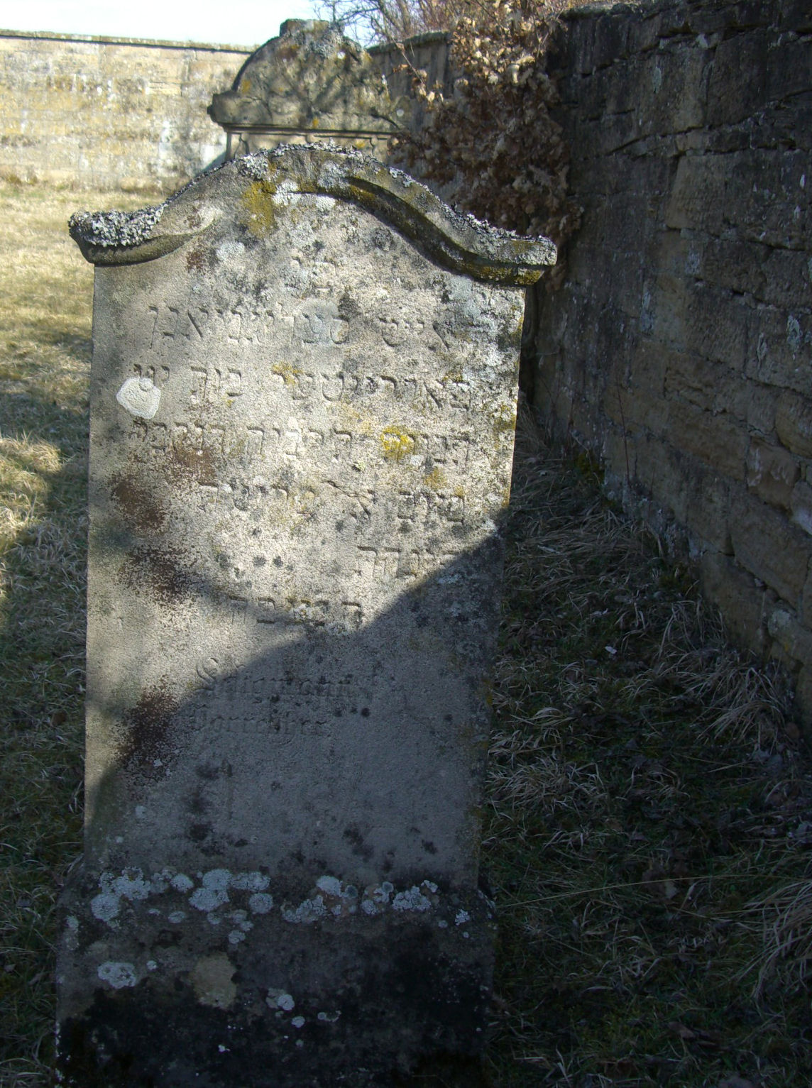Jüdischer Friedhof Sulzdorf a. d. Lederhecke, März 2010 (Foto: Kreisheimatpfleger Reinhold Albert, Sulzdorf)