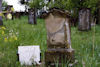 Jüdischer Friedhof Untermerzbach. � Horst und Heidrun Wagner, HaŸfurt