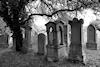 Jüdischer Friedhof Heidingsfeld-Würzburg, � W. H�rnig