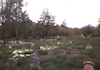 Jüdischer Friedhof Kleinbardorf. Foto: Christoph Daxelm�ller, 1983