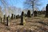 Jüdischer Friedhof von Kleinbardorf (Foto: Kreisheimatpfleger Reinhold Albert, Sulzdorf an der Lederhecke)
