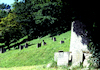 Jüdischer Friedhof Pappenheim. Foto: Christoph Daxelm�ller, 1999