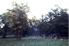 Jüdischer Friedhof Pretzfeld	. Foto: Christoph Daxelm�ller, 1983