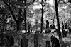 Jüdischer Friedhof Walsdorf. � W.H�rnig