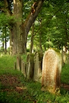 Jüdischer Friedhof Walsdorf. � W.H�rnig