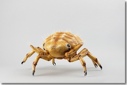 Eine Ursache für die Krise des fränkischen Weinbaus ab 1800 war der Einfall der Reblaus. (Foto: © Haus der Bayerischen Geschichte)