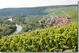 Blick von der Vogelsburg auf die Volkacher Mainschleife (Foto: © Archiv TV Fränkisches Weinland  − Foto Hub)