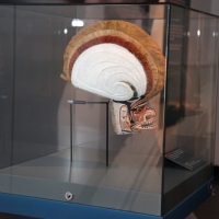 Bayerische Landesausstellung 2013: Impressionen (Fotos © Stefan Pfister)