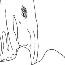 Foto: © Kunstprojekt der Wilhelm-Sattler Realschule, Schweinfurt