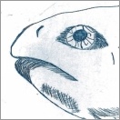 Foto: © Kunstprojekt der Wilhelm-Sattler Realschule, Schweinfurt