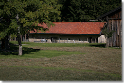 Steinreich