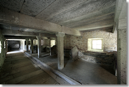 Steinreich