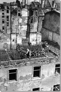 Not macht erfinderisch: Gemüse und Tabak für den Eigenbedarf wurden notfalls auch auf Ruinendächern angebaut.